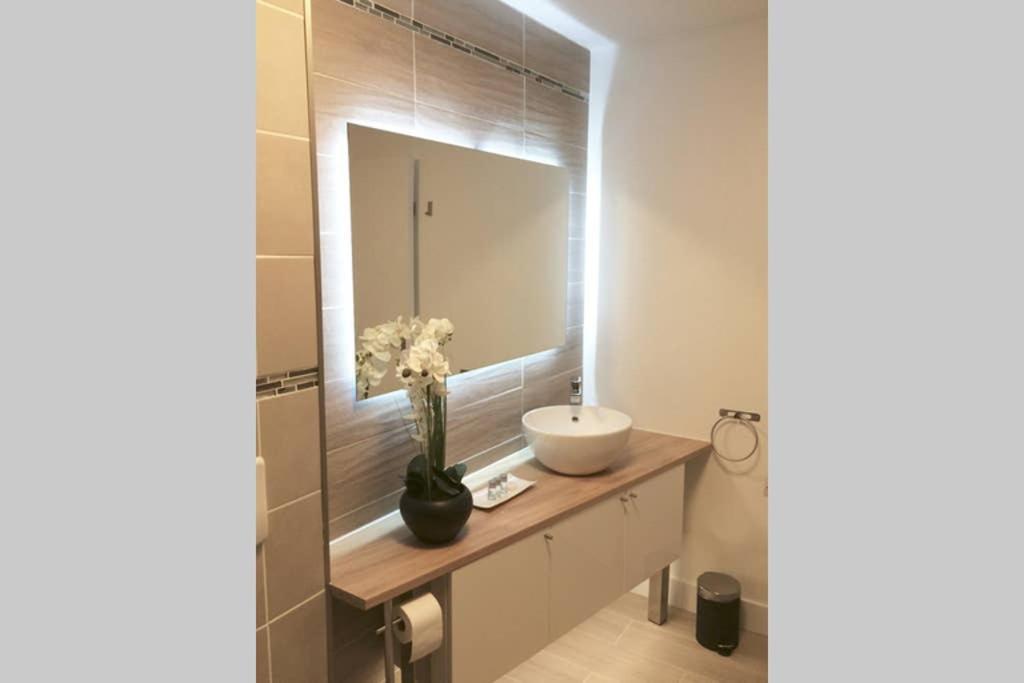 Appartement Grande Chaussee リール エクステリア 写真